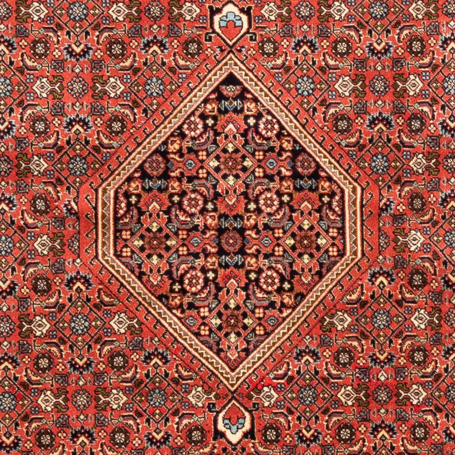 Alfombra persa - Bidjar - 233 x 200 cm - rojo claro