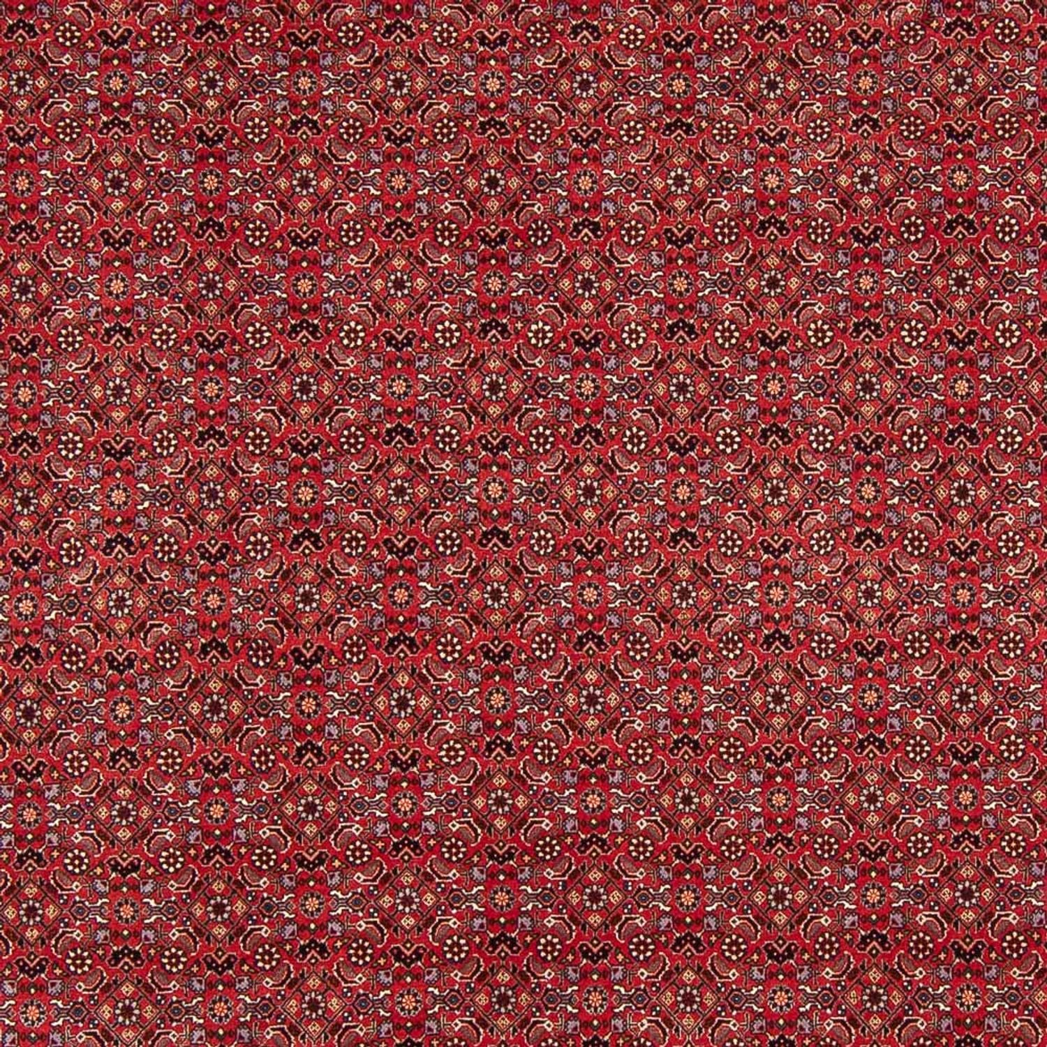 Alfombra persa - Bidjar - Real - 272 x 217 cm - rojo oscuro