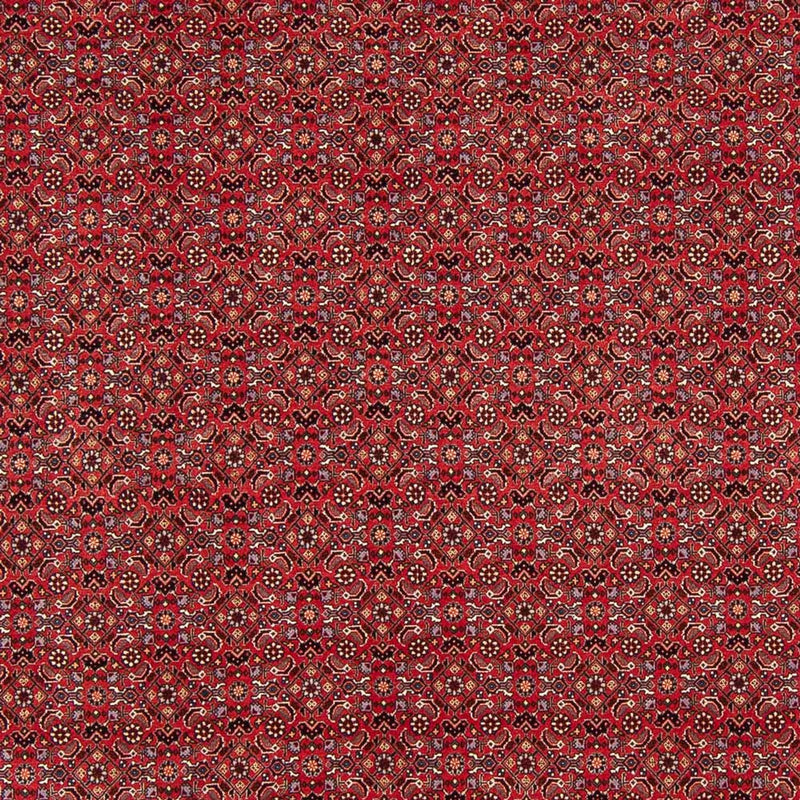 Alfombra persa - Bidjar - Real - 272 x 217 cm - rojo oscuro