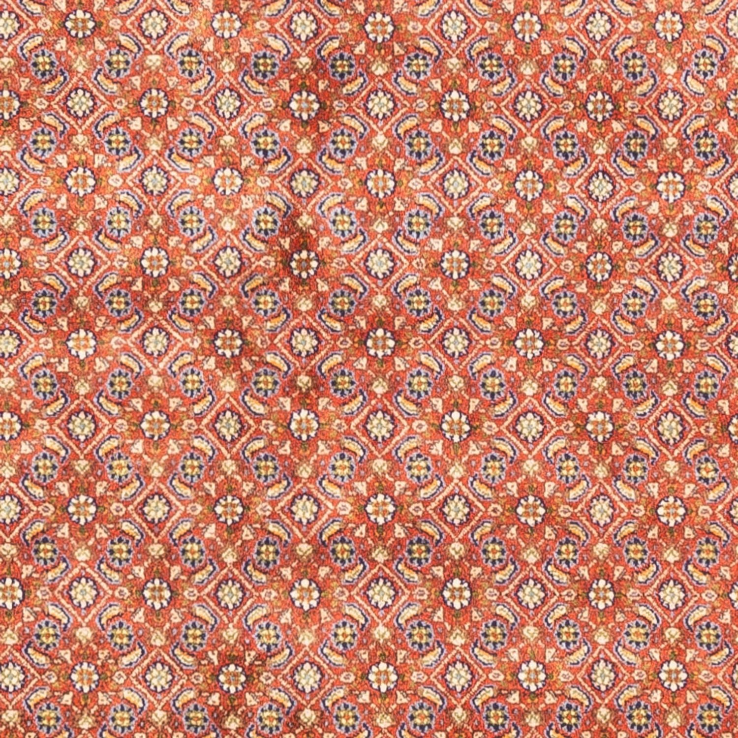 Alfombra persa - Clásica cuadrado  - 246 x 242 cm - rojo claro