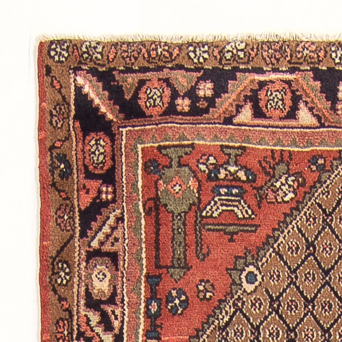 Alfombra de pasillo Alfombra persa - Nómada - 254 x 99 cm - beige