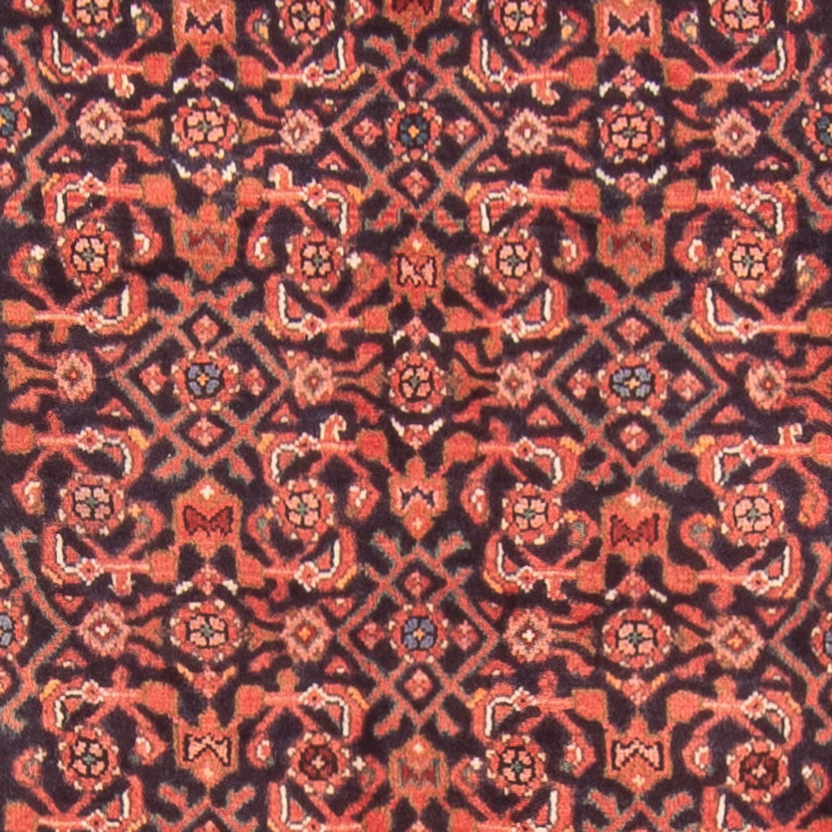 Alfombra de pasillo Alfombra persa - Nómada - 434 x 102 cm - azul oscuro