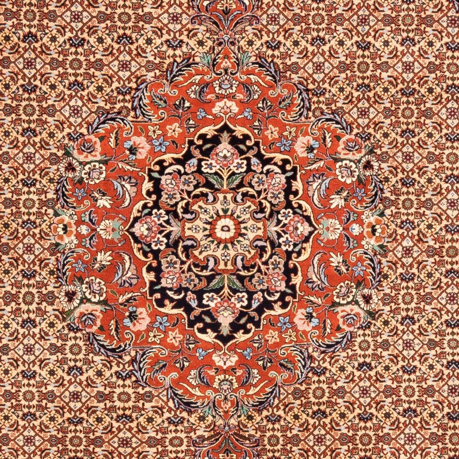 Alfombra persa - Bidjar - 231 x 178 cm - beige