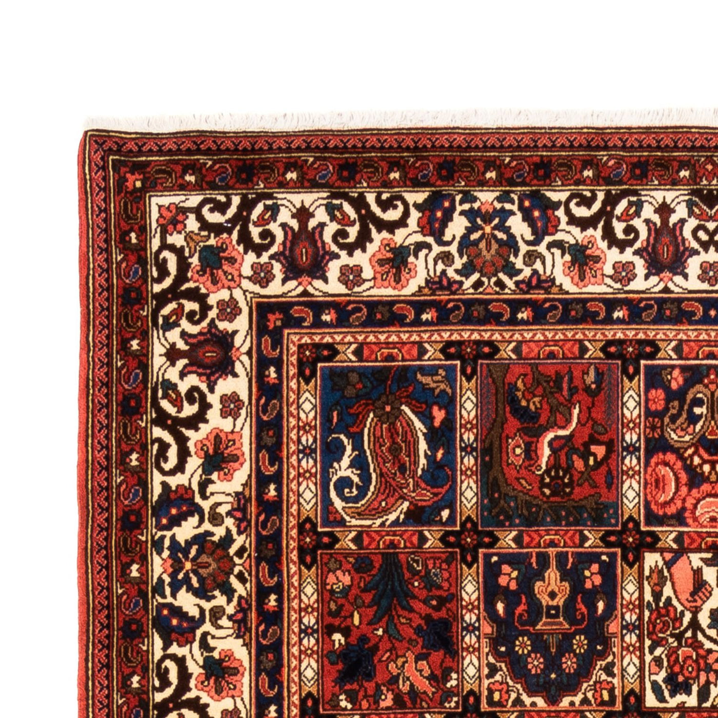 Bakhtiari Alfombra 252x157cm - Alfombra persa