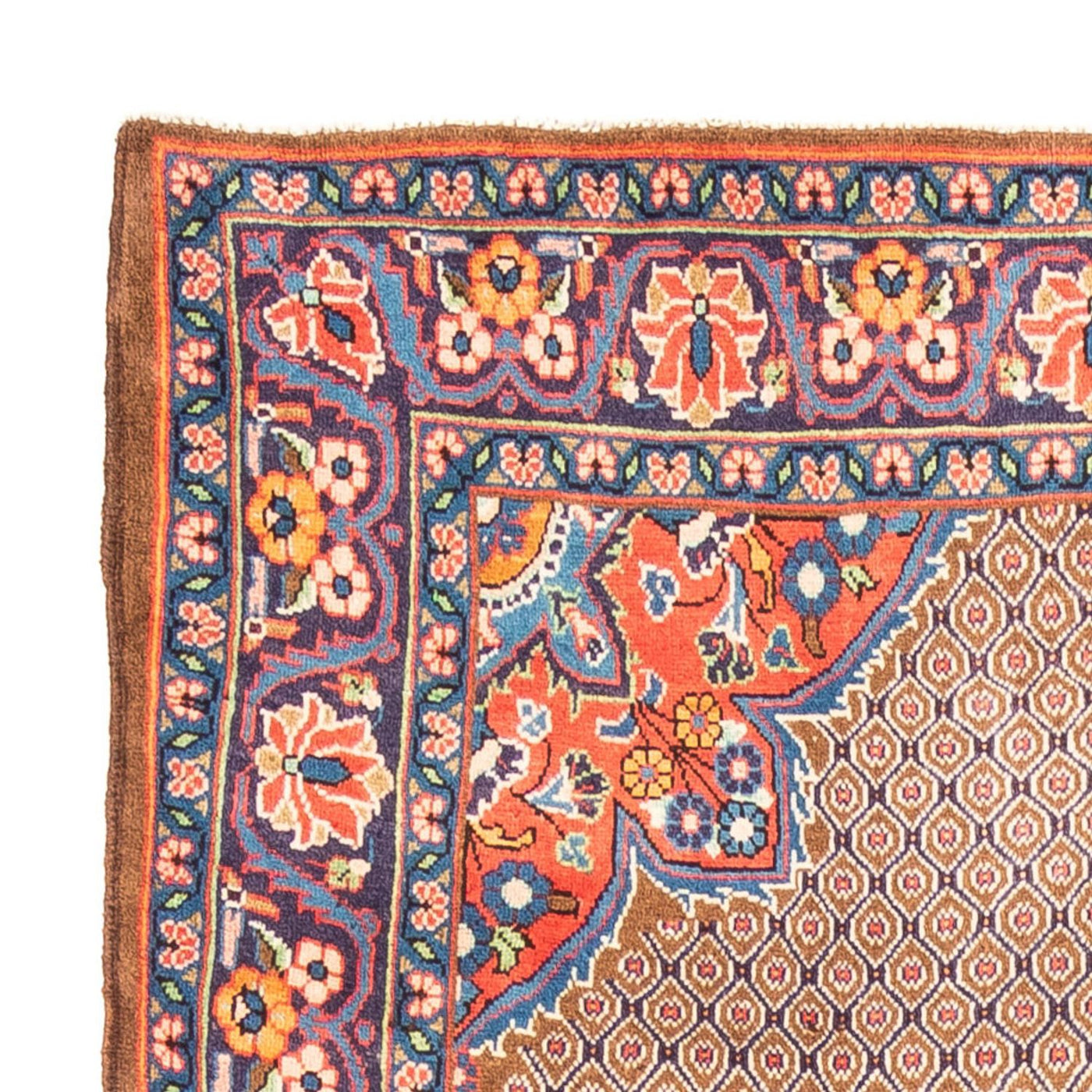 Kolyai Alfombra 303x160cm - Alfombra persa