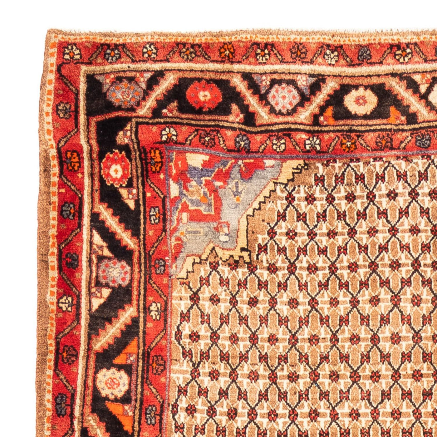 Kolyai Alfombra 313x170cm - Alfombra persa