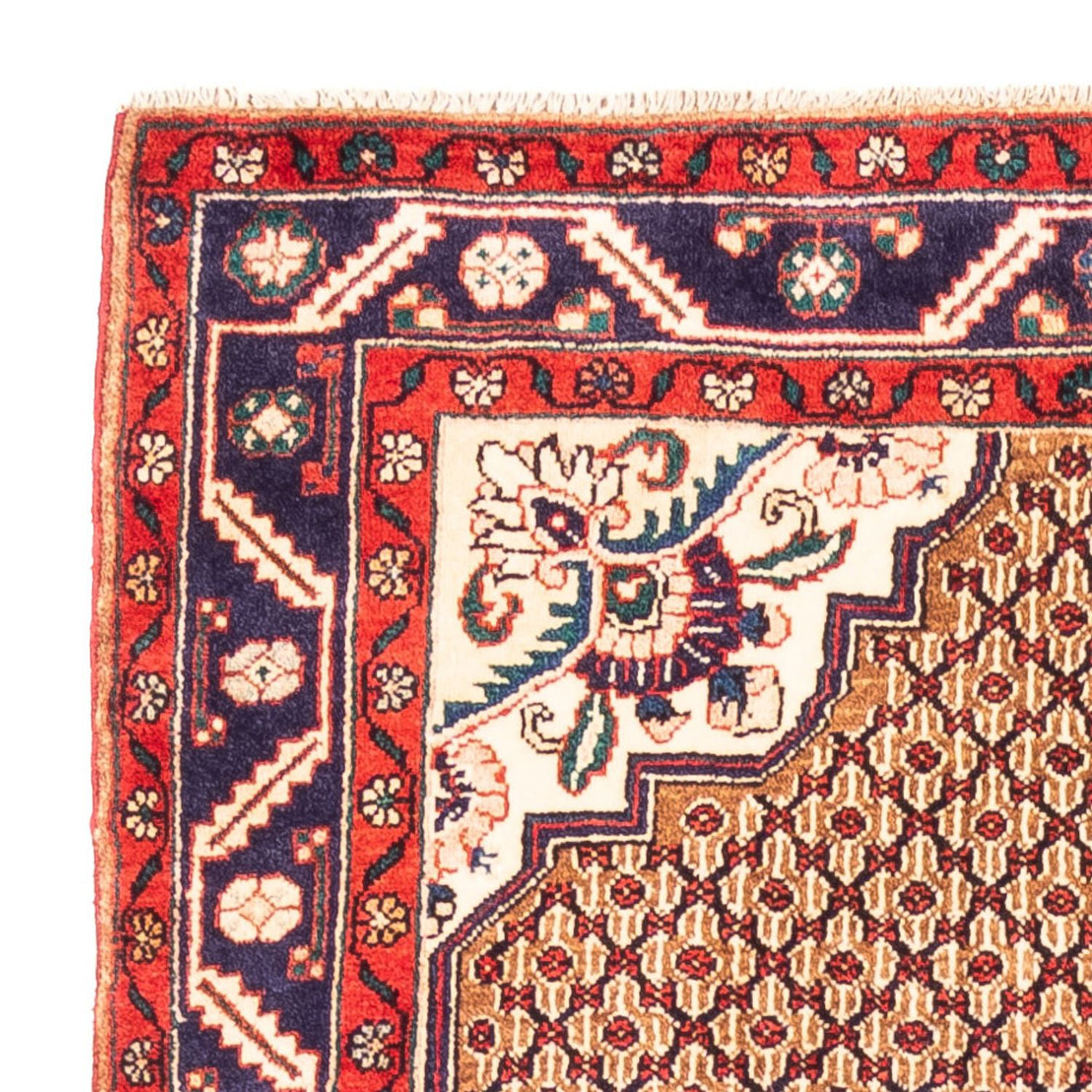 Kolyai Alfombra 277x153cm - Alfombra persa