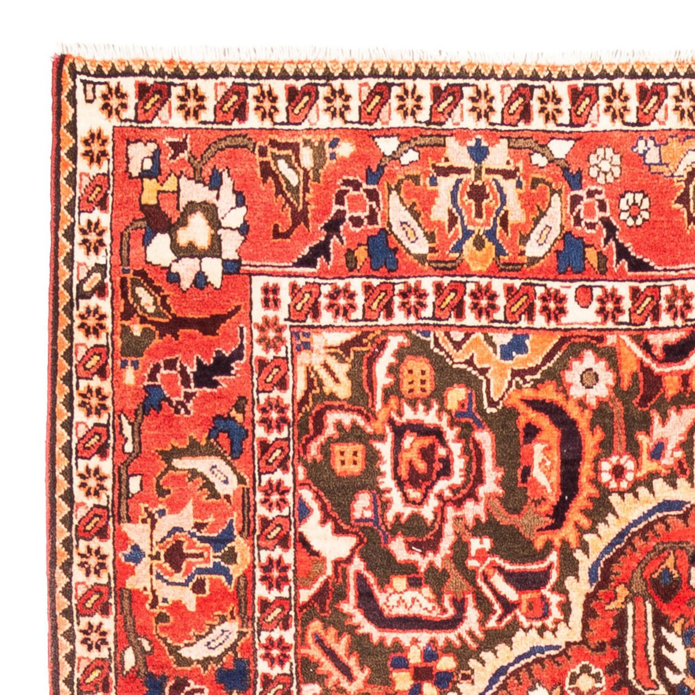 Bakhtiari Alfombra 300x175cm - Alfombra persa