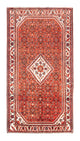 Hosseinabad Alfombra 296x156cm - Alfombra persa