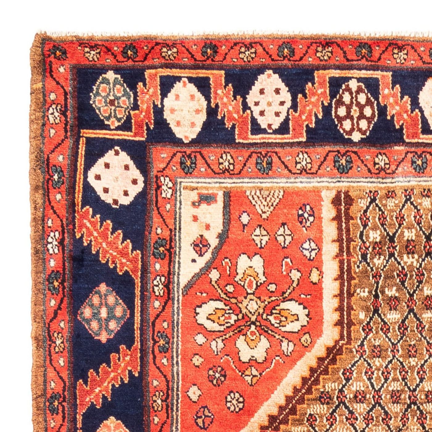 Kolyai Alfombra 265x157cm - Alfombra persa