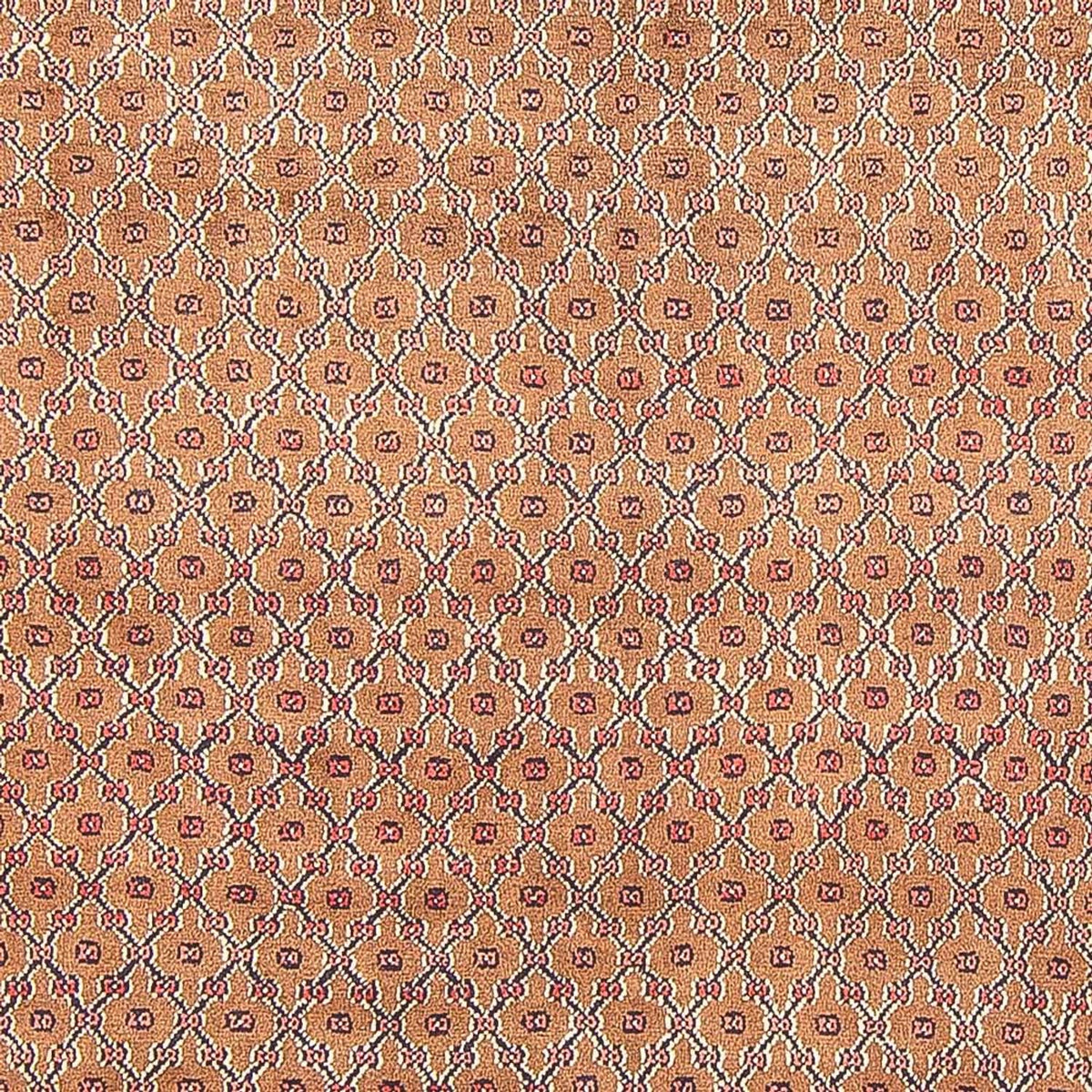 Alfombra persa - Nómada - 290 x 150 cm - multicolor