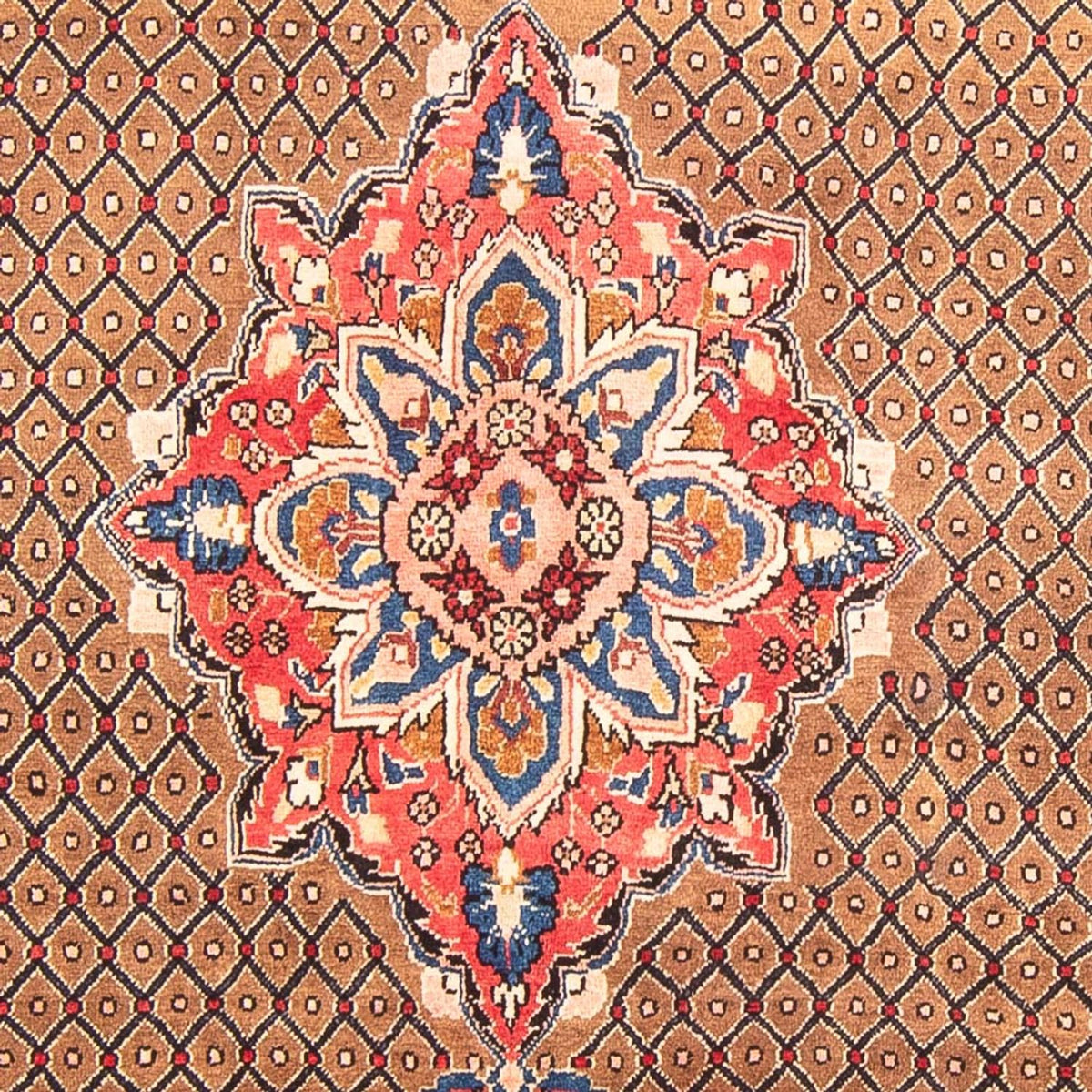 Alfombra persa - Nómada - 285 x 150 cm - multicolor