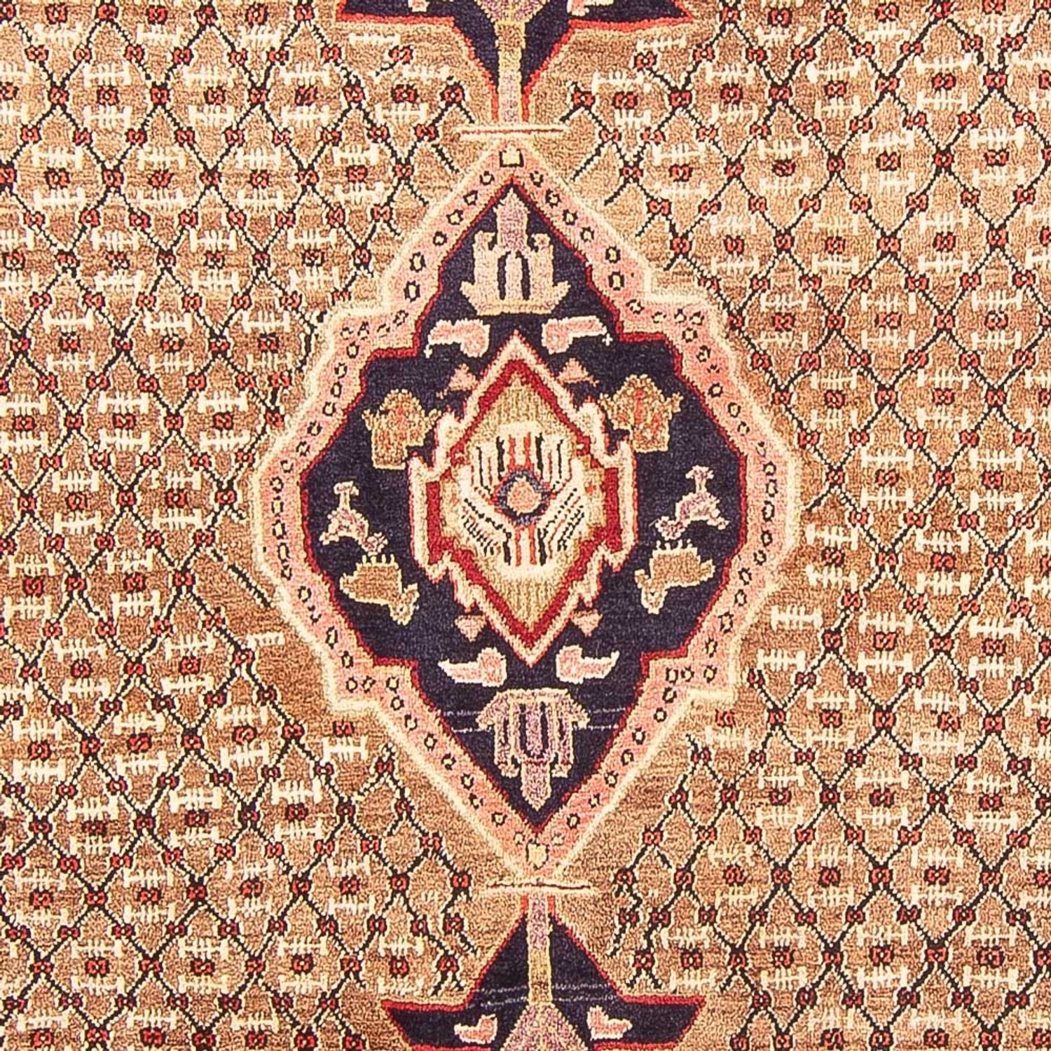 Alfombra persa - Nómada - 310 x 160 cm - multicolor