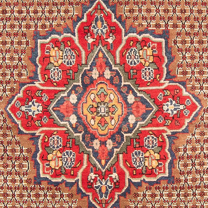 Alfombra persa - Nómada - 285 x 155 cm - multicolor