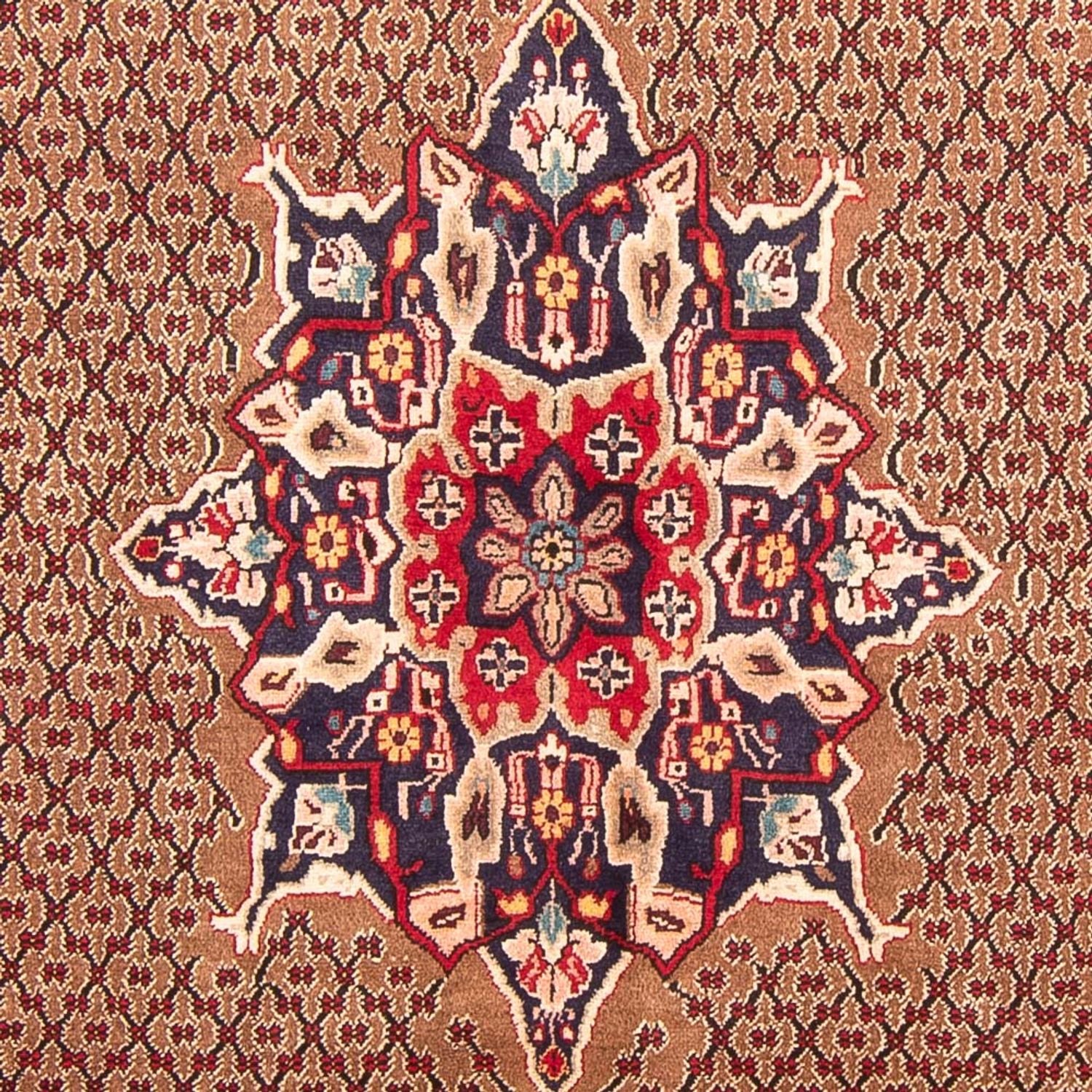 Alfombra persa - Nómada - 300 x 152 cm - marrón