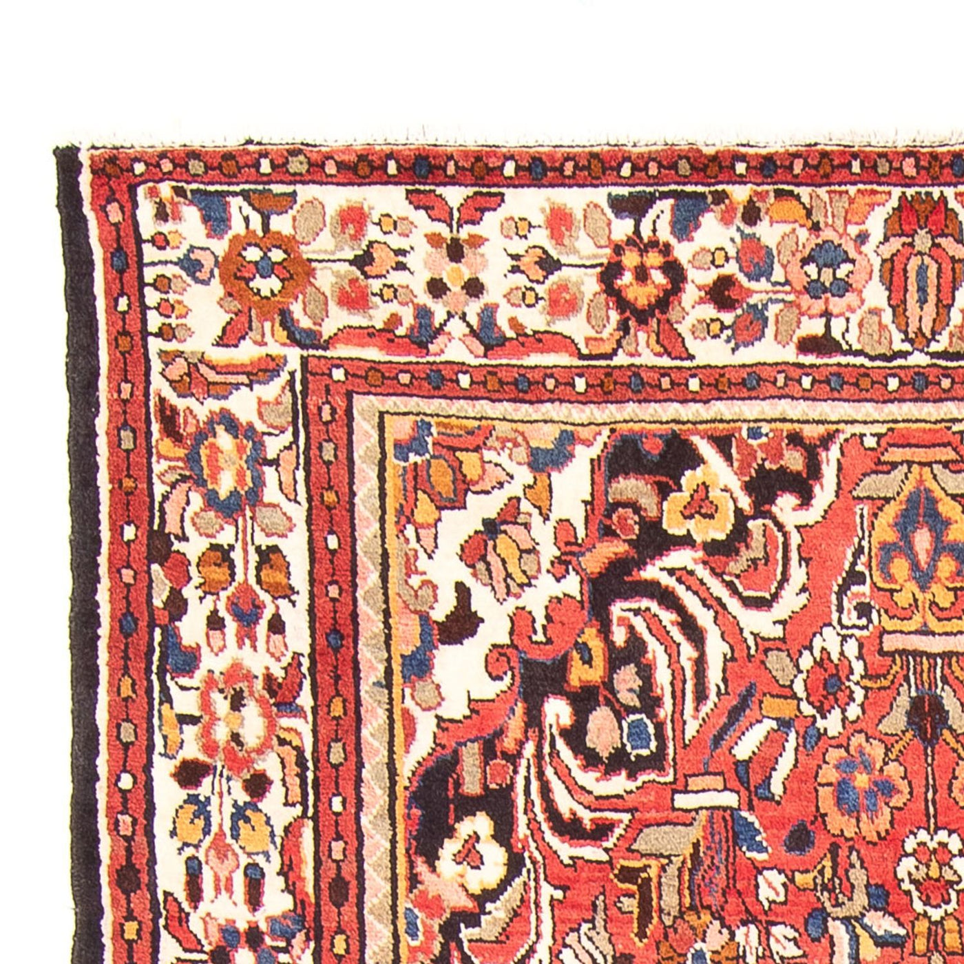 Hamadan Alfombra 300x158cm - Alfombra persa