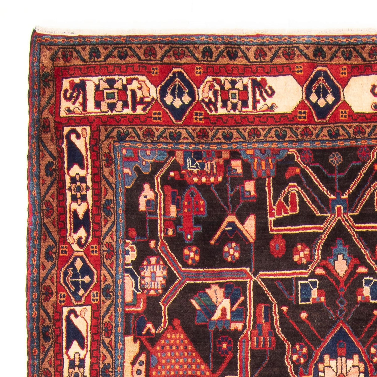 Nahavand Alfombra 163x320cm - Alfombra persa