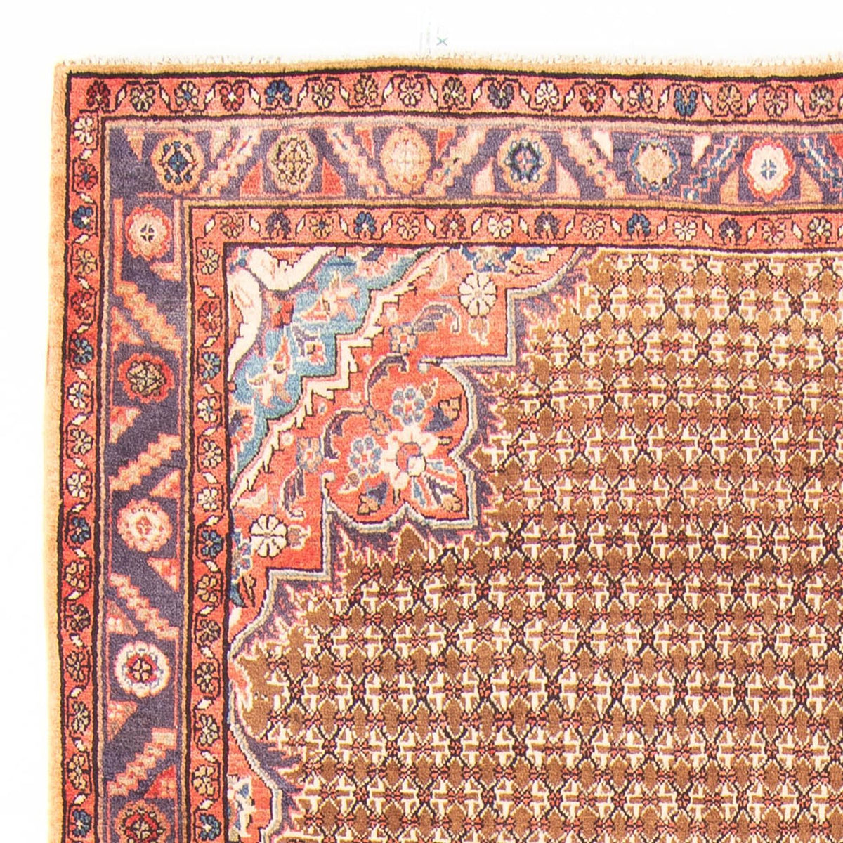 Kolyai Alfombra 155x310cm - Alfombra persa
