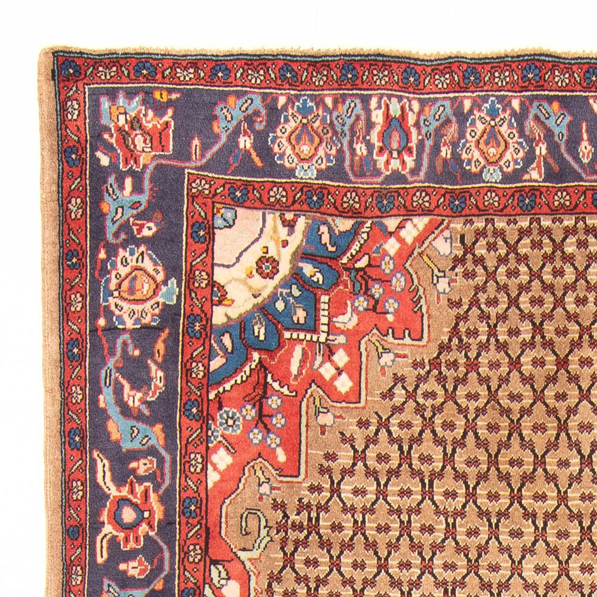 Kolyai Alfombra 150x310cm - Alfombra persa