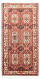 Bakhtiari Alfombra 300x166cm - Alfombra persa
