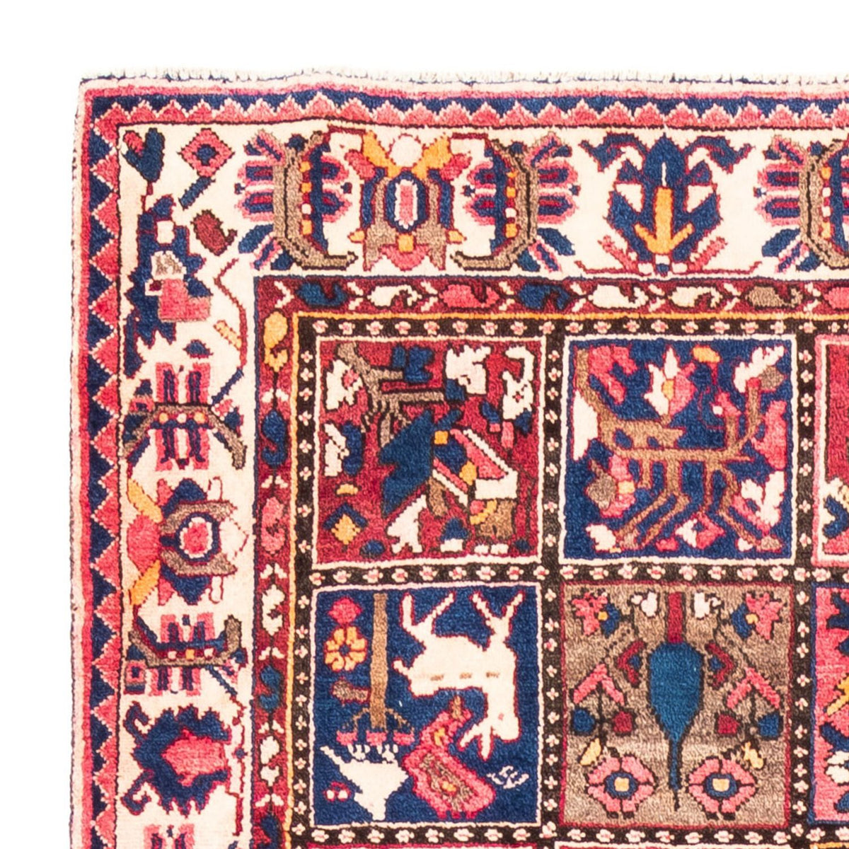 Bakhtiari Alfombra 160x300cm - Alfombra persa