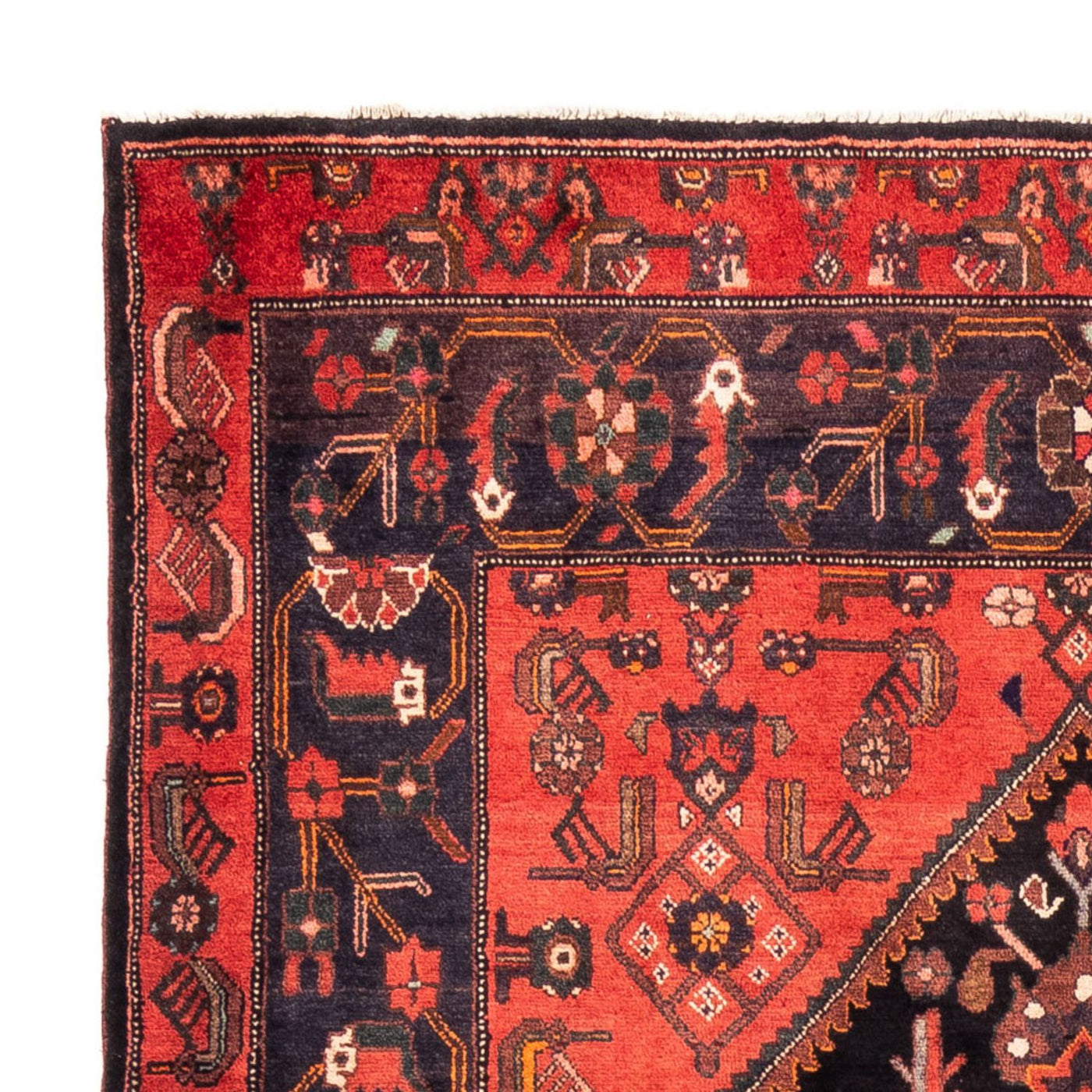 Kolyai Alfombra 300x170cm - Alfombra persa