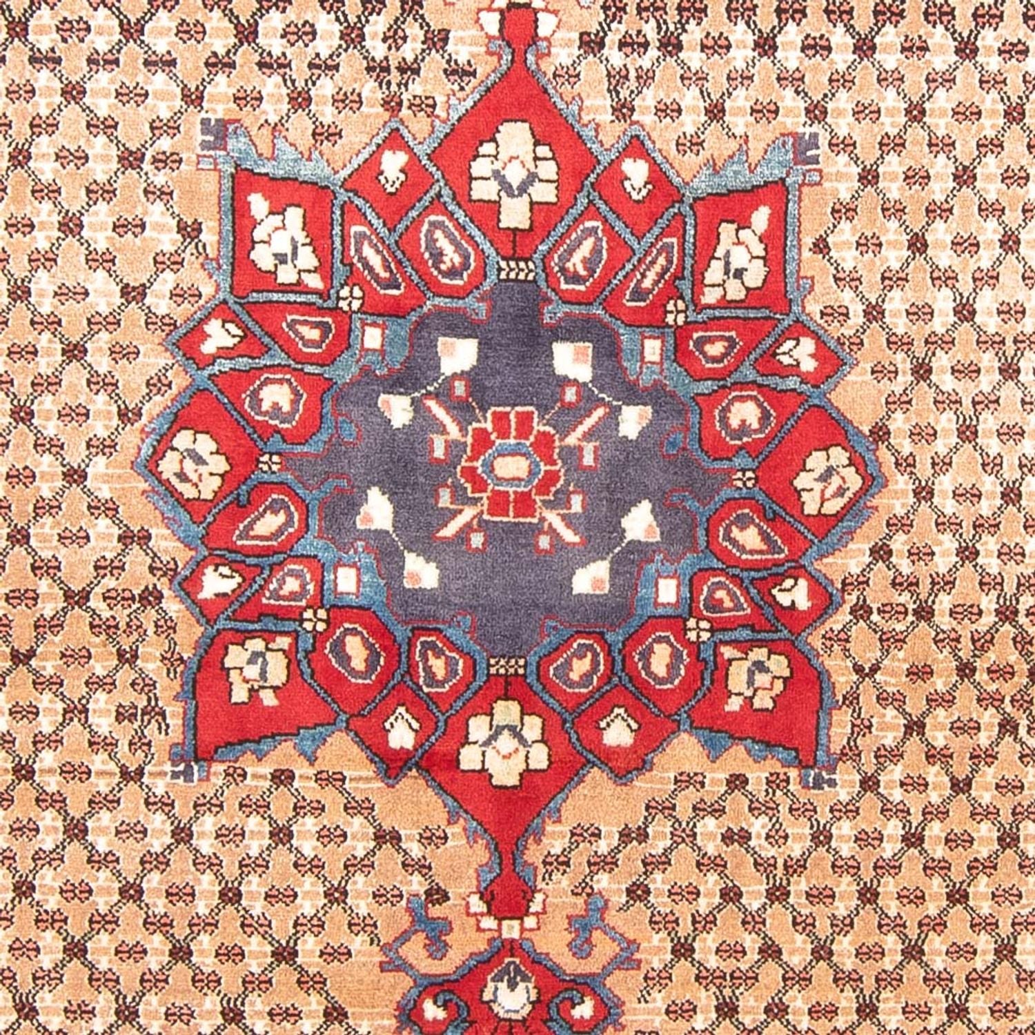 Alfombra persa - Nómada - 290 x 150 cm - multicolor