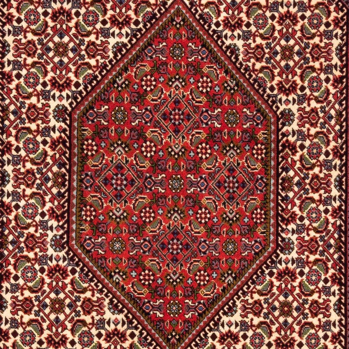 Alfombra persa - Bidjar - 180 x 112 cm - crema