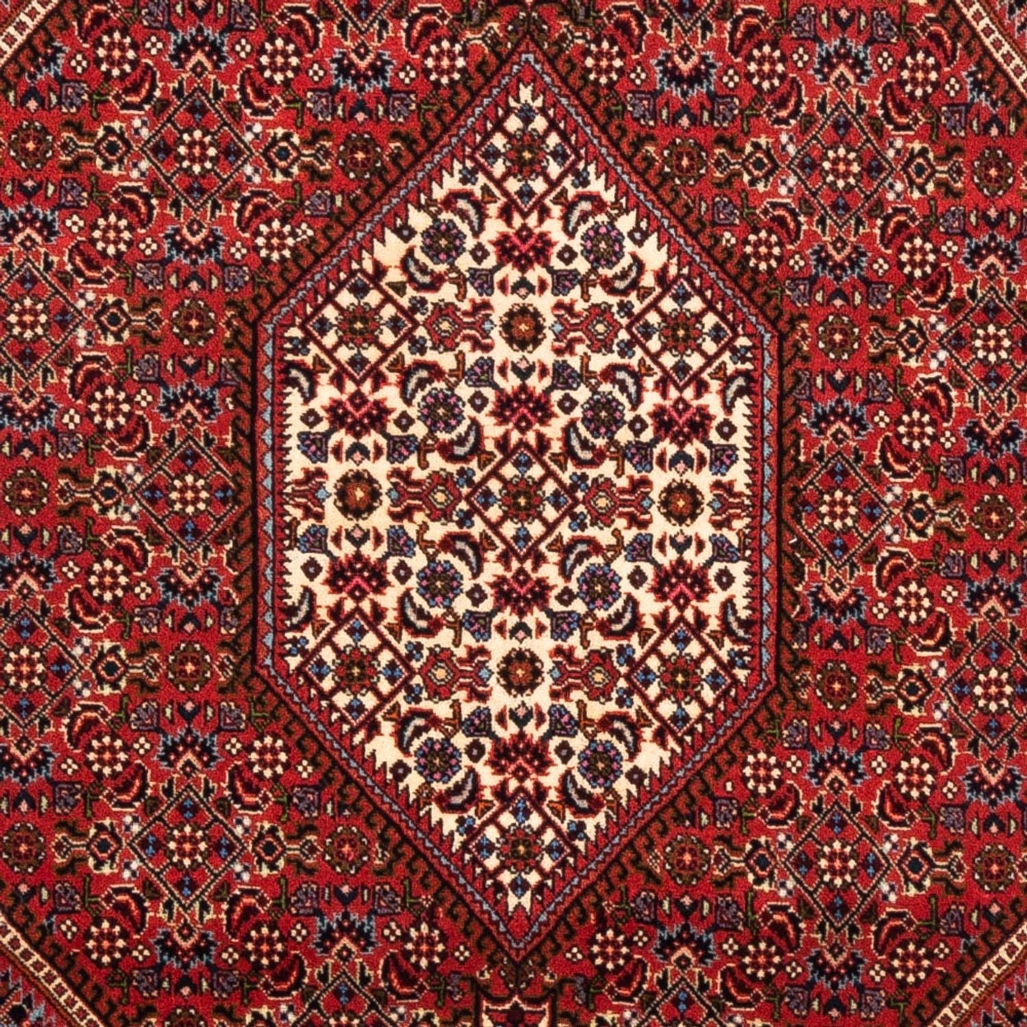 Alfombra persa - Bidjar - 175 x 114 cm - rojo
