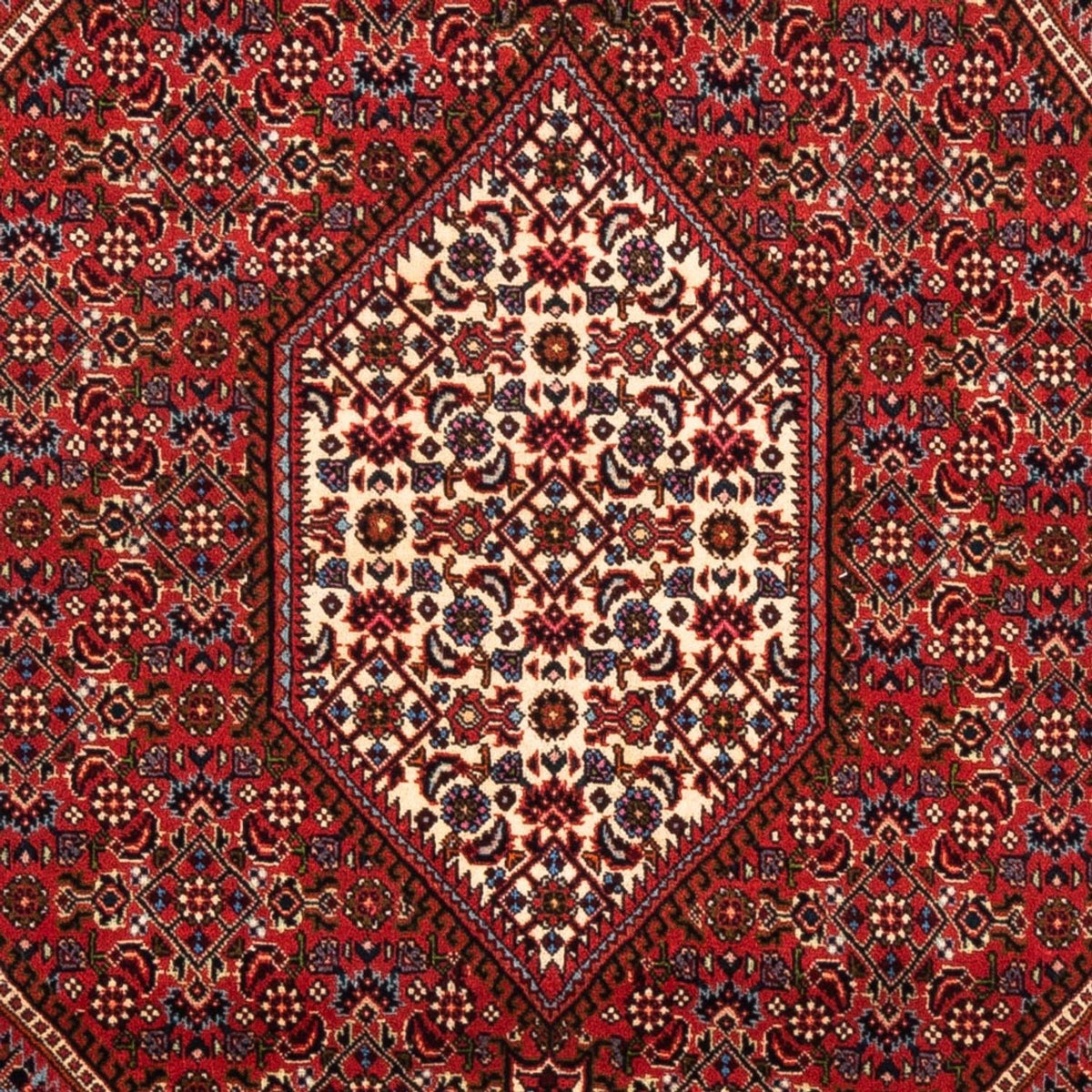 Alfombra persa - Bidjar - 175 x 114 cm - rojo