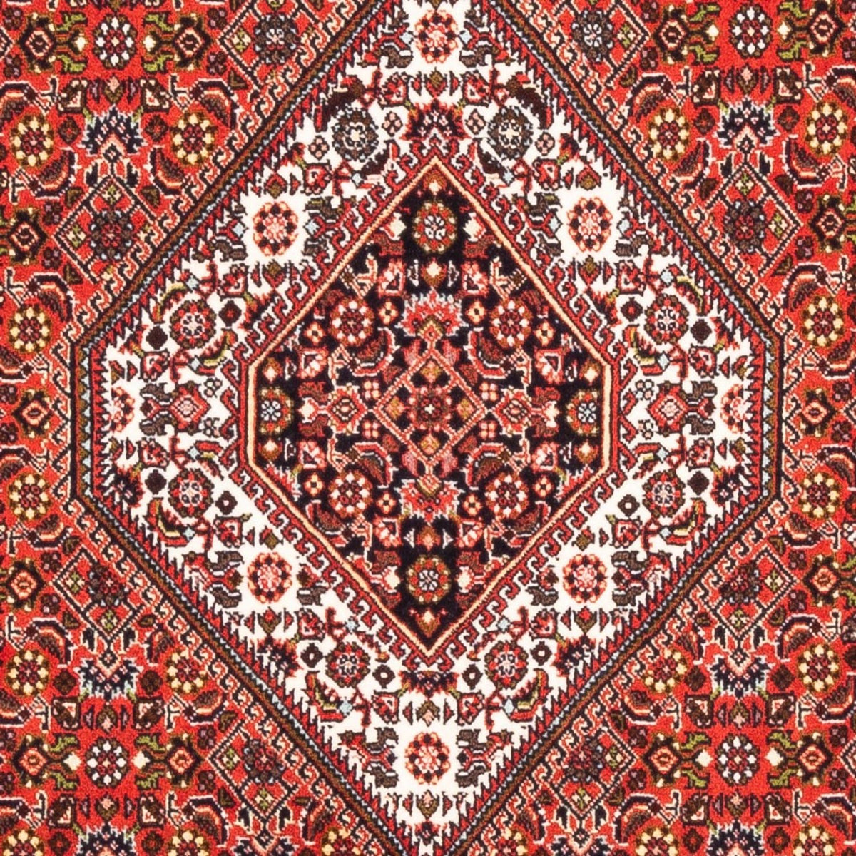Alfombra persa - Bidjar - 178 x 108 cm - rojo