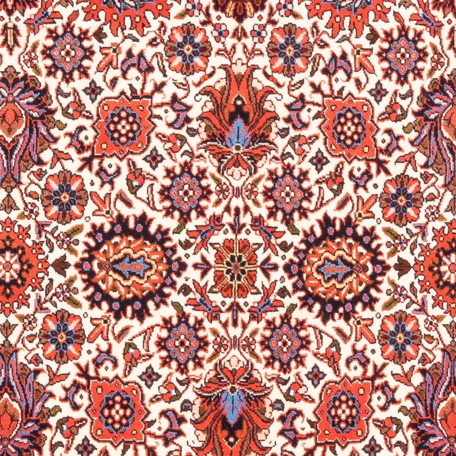Alfombra persa - Bidjar - 180 x 108 cm - crema