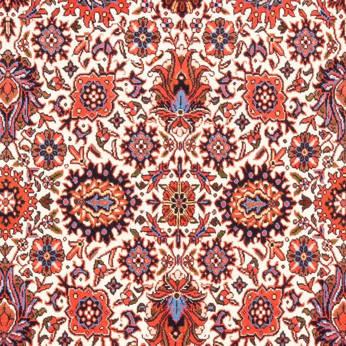 Alfombra persa - Bidjar - 180 x 108 cm - crema