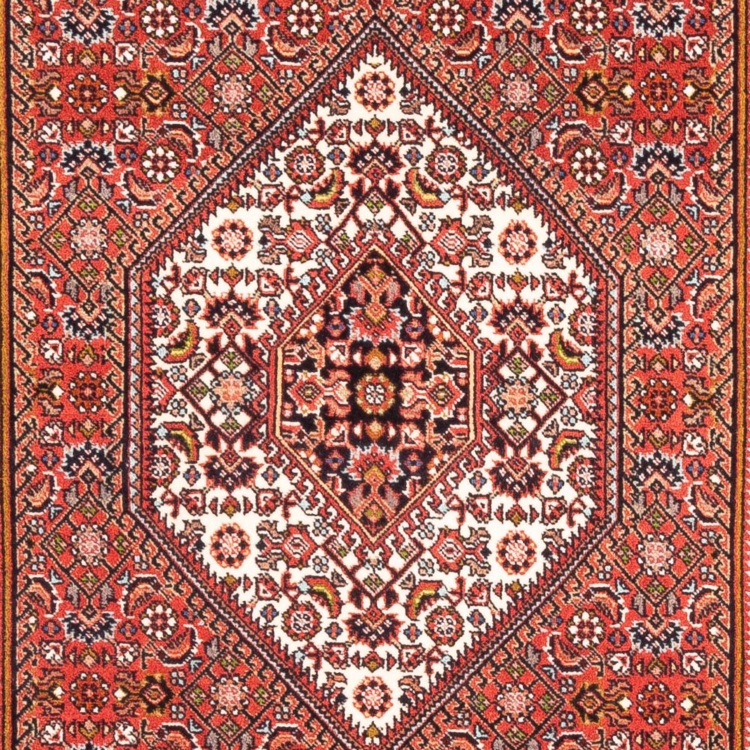 Alfombra persa - Bidjar - 185 x 109 cm - rojo
