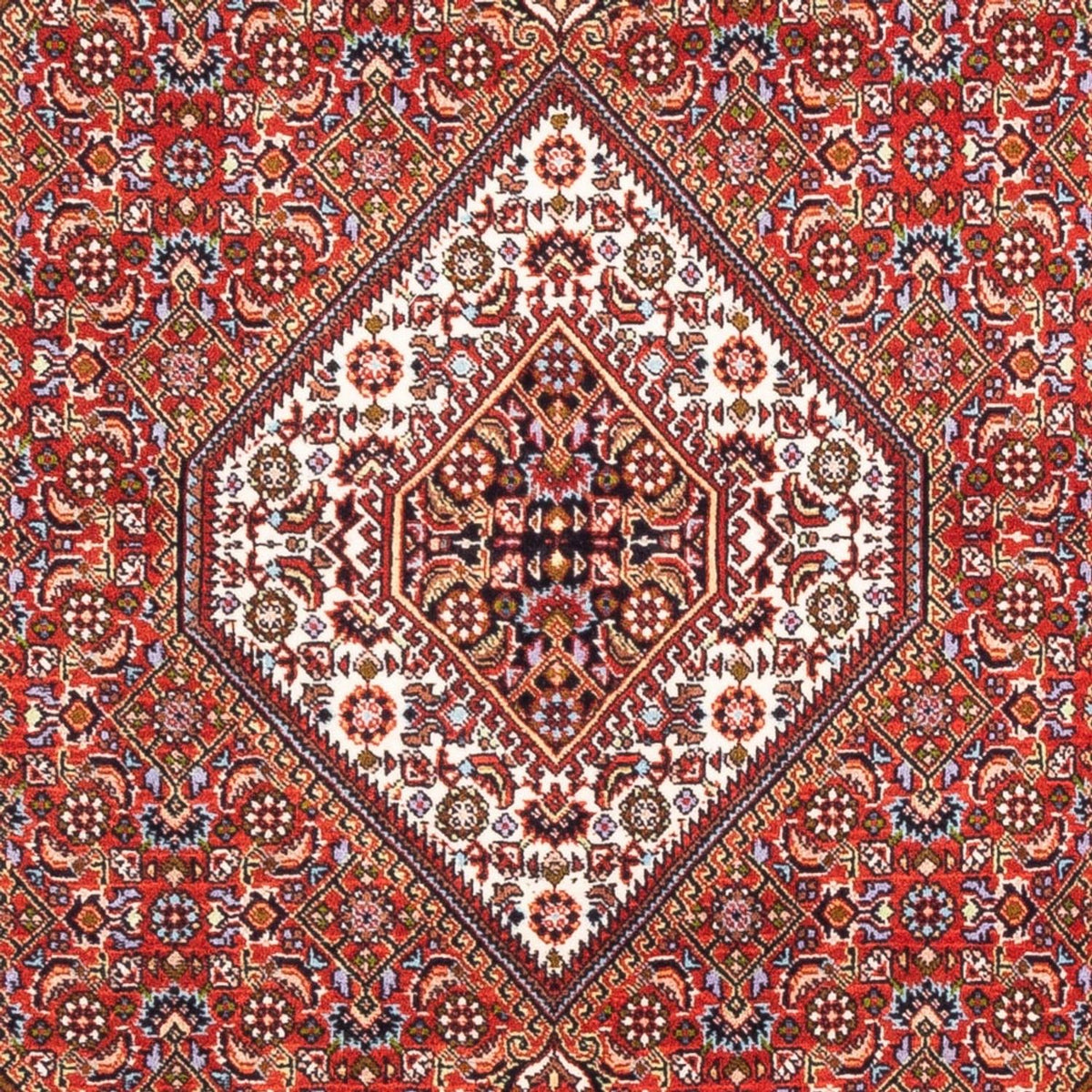 Alfombra persa - Bidjar - 176 x 108 cm - rojo