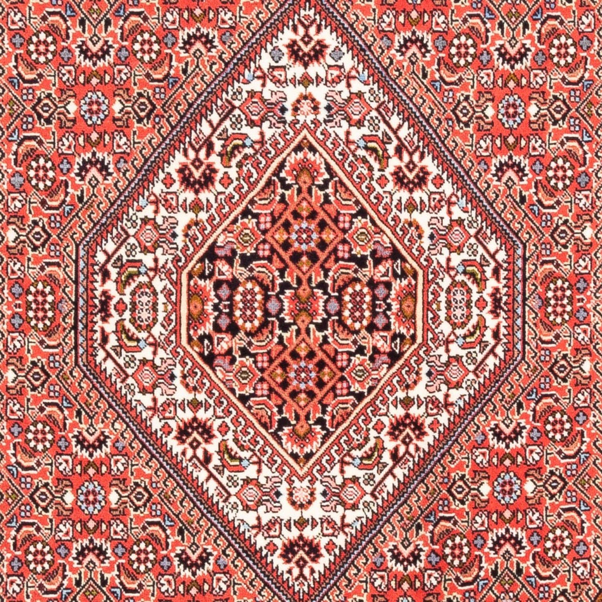 Alfombra persa - Bidjar - 177 x 109 cm - rojo