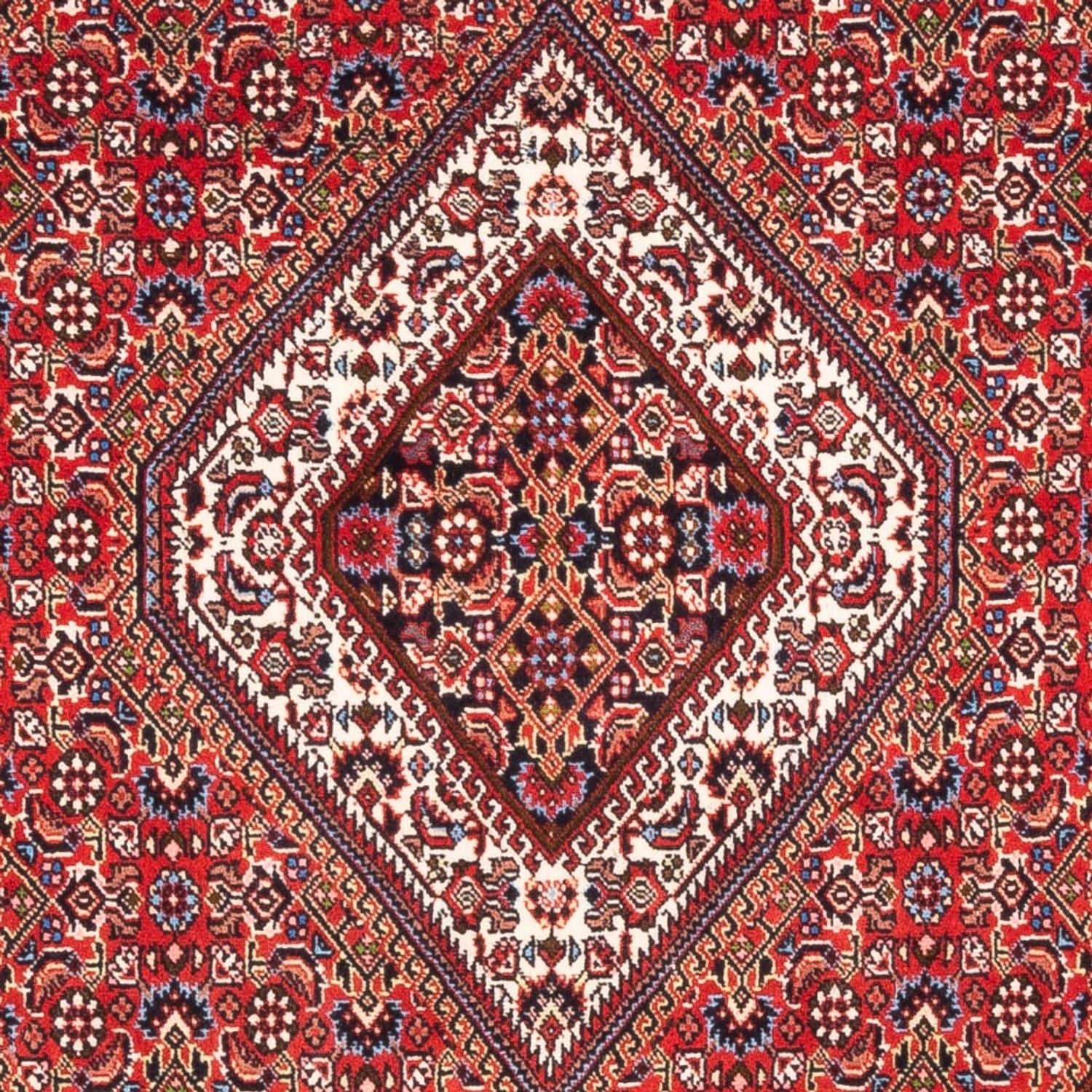 Alfombra persa - Bidjar - 180 x 110 cm - rojo