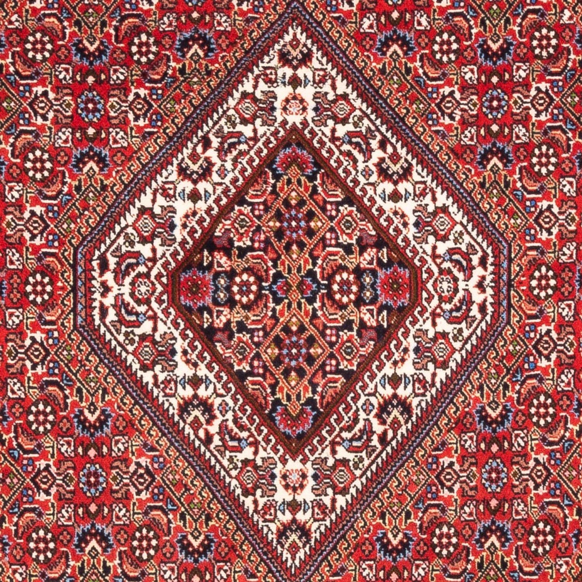 Alfombra persa - Bidjar - 180 x 110 cm - rojo