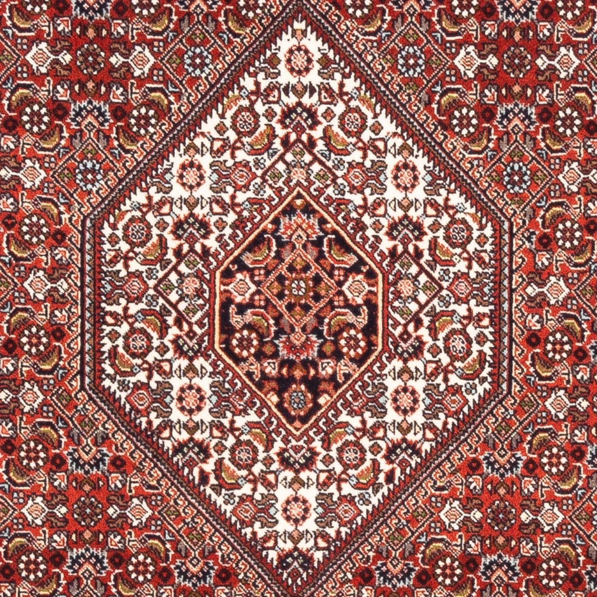 Alfombra persa - Bidjar - 177 x 107 cm - rojo