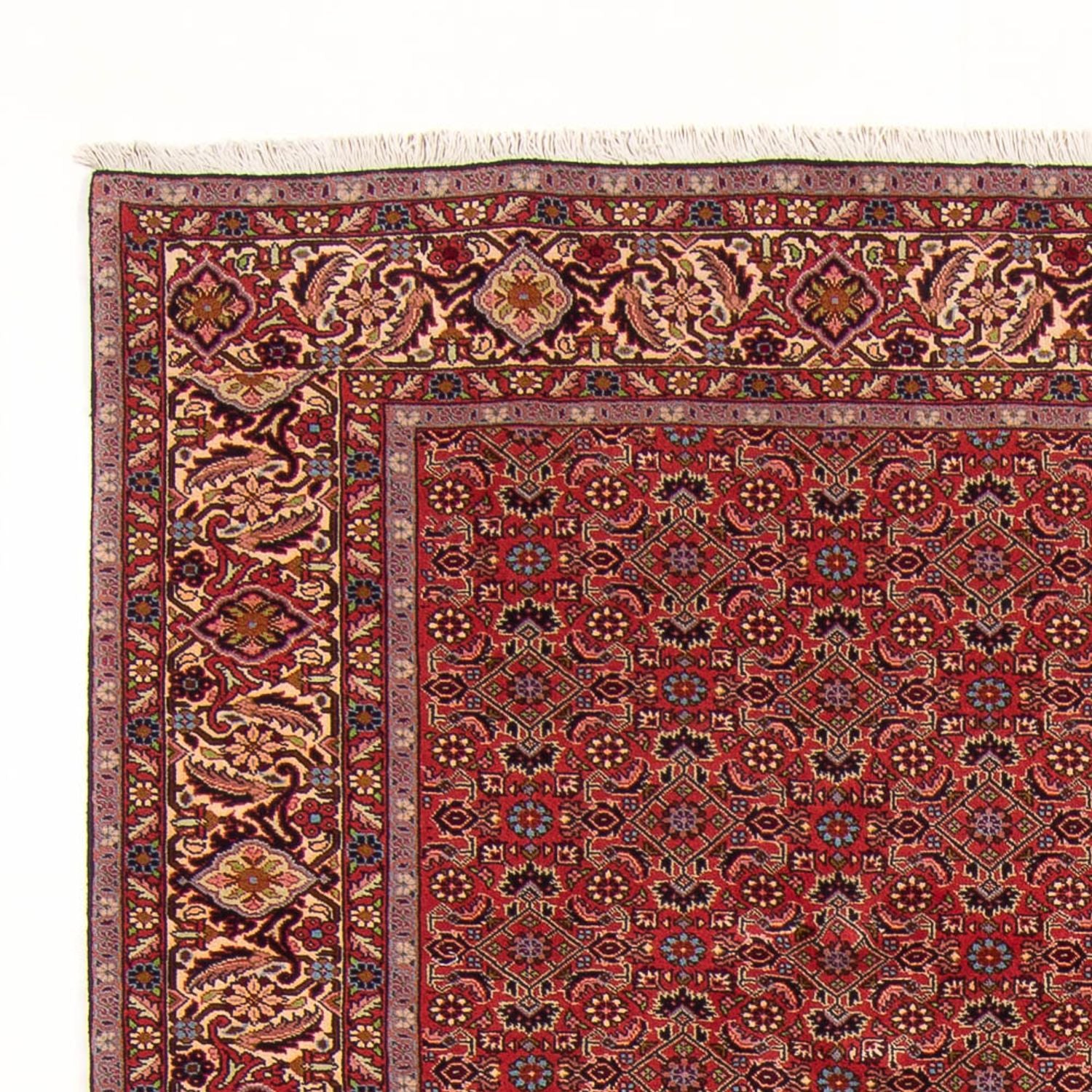 Alfombra persa - Bidjar - 296 x 197 cm - rojo