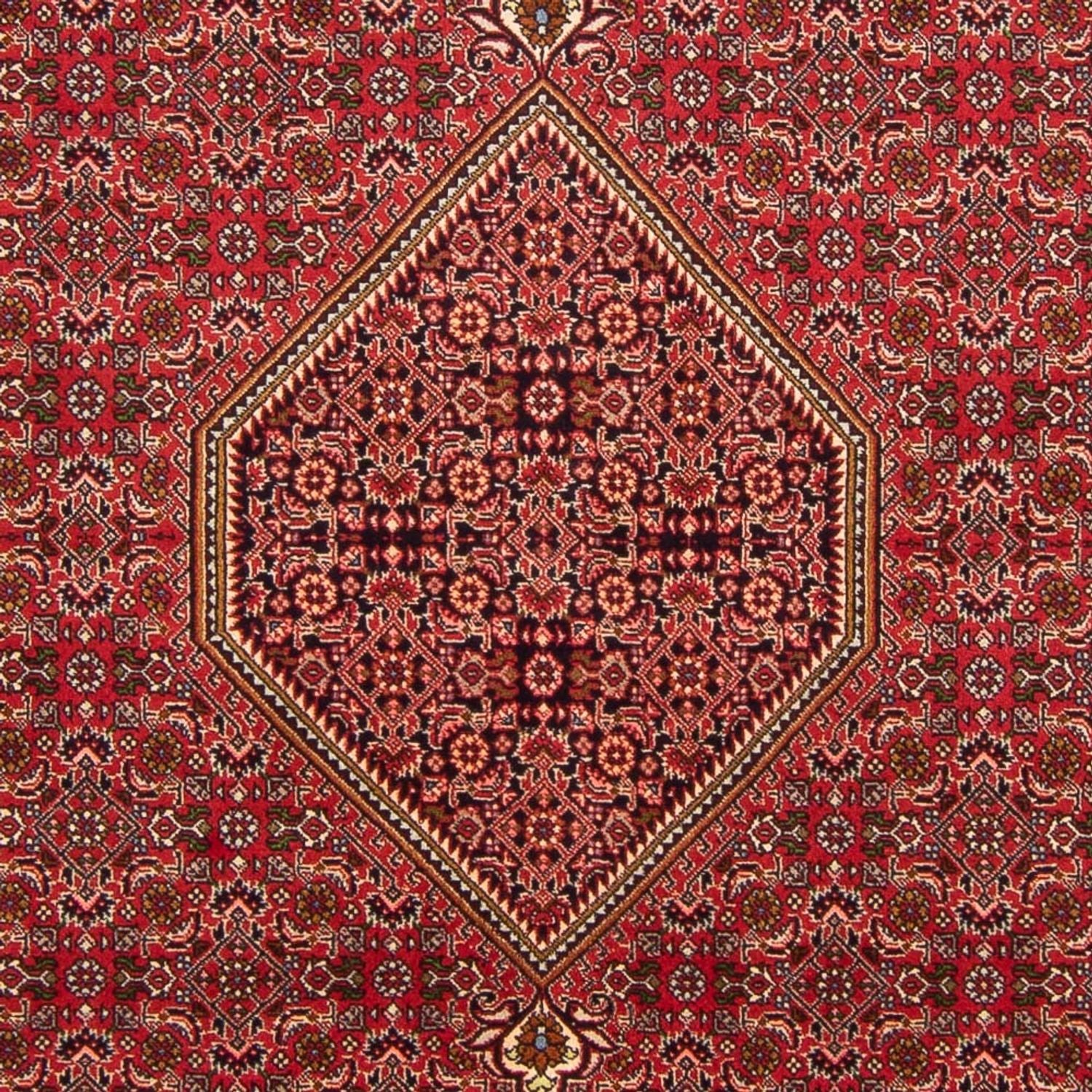 Alfombra persa - Bidjar - 290 x 192 cm - rojo