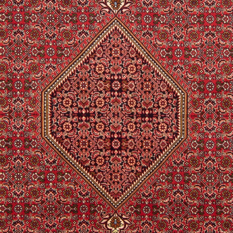 Alfombra persa - Bidjar - 290 x 192 cm - rojo