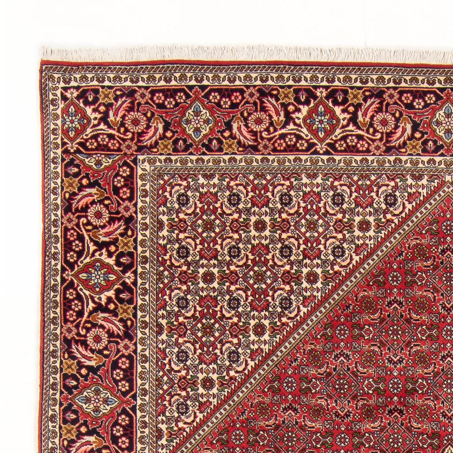 Alfombra persa - Bidjar - 290 x 192 cm - rojo