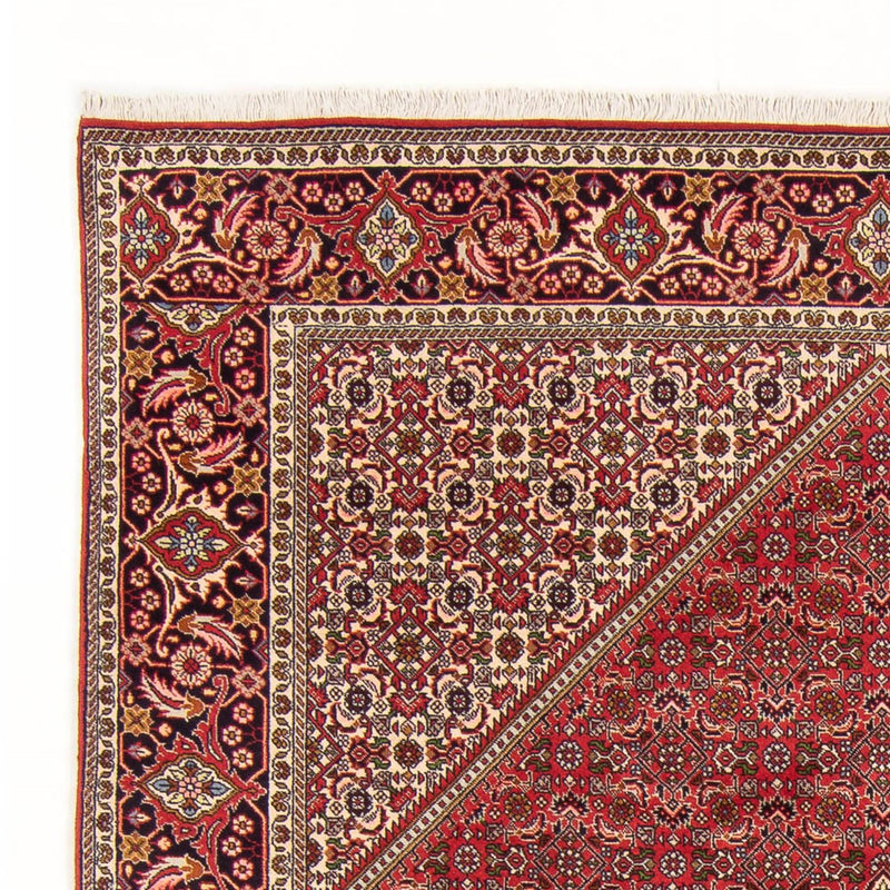 Alfombra persa - Bidjar - 290 x 192 cm - rojo