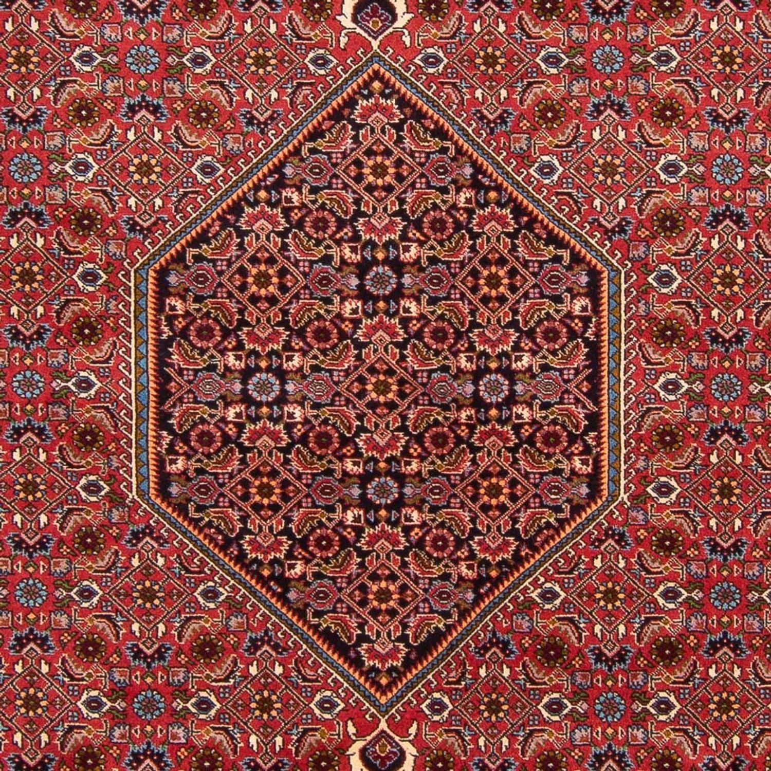 Alfombra persa - Bidjar - 301 x 200 cm - rojo