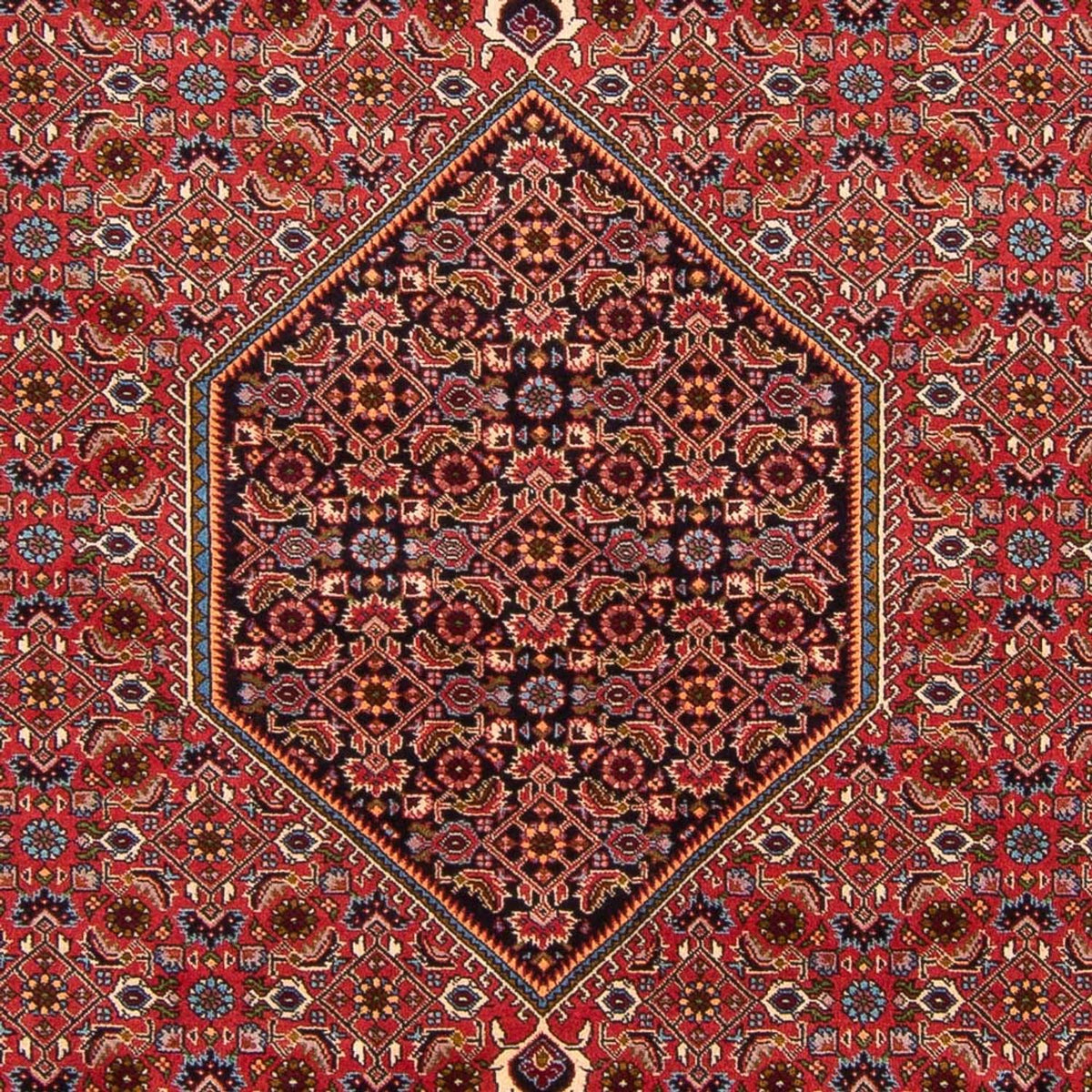 Alfombra persa - Bidjar - 301 x 200 cm - rojo