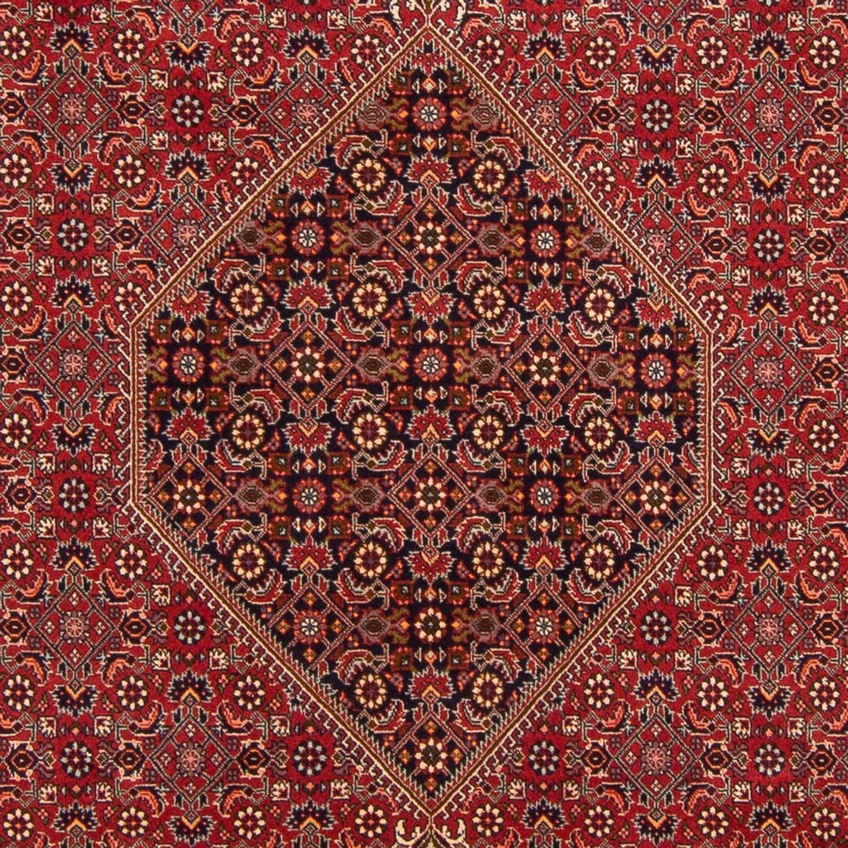 Alfombra persa - Bidjar - 300 x 201 cm - rojo