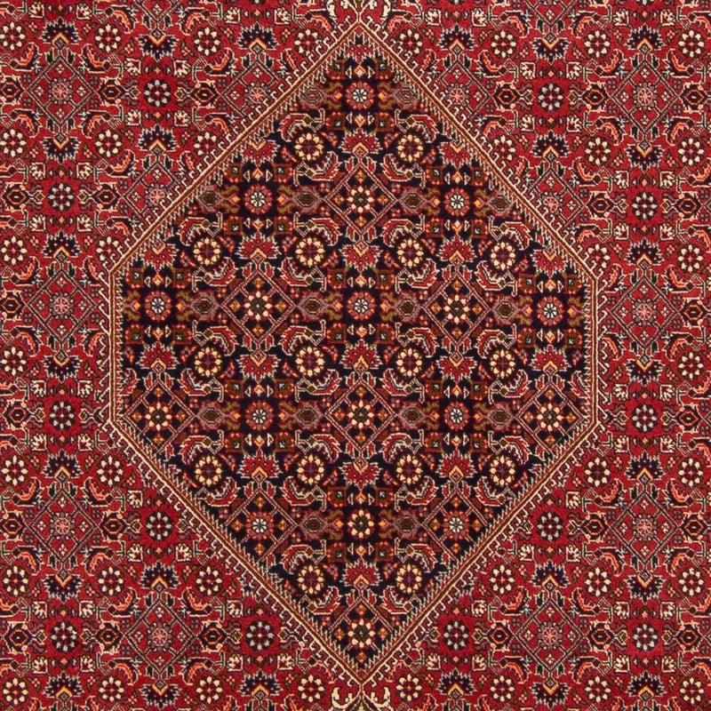 Alfombra persa - Bidjar - 300 x 201 cm - rojo