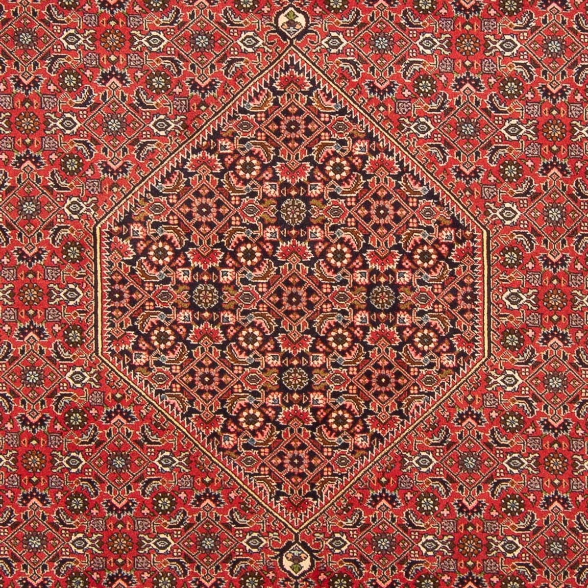 Alfombra persa - Bidjar - 298 x 197 cm - rojo