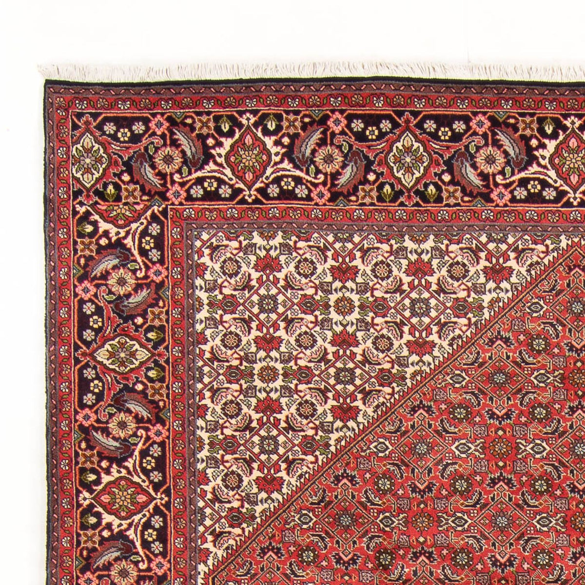 Alfombra persa - Bidjar - 298 x 197 cm - rojo